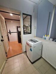 Meralodge (D23), Condominium #485983931